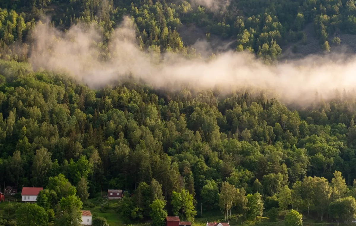 Eiendomsmegler Bø i Telemark - beste megler og lokalt boligmarked i Bø i Telemark