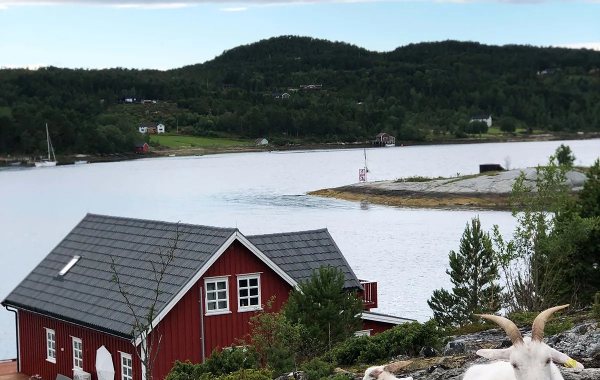 Eiendomsmegler Halden - boliger og nabolag i Halden